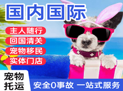 奔牛空运地址国际宠物托运 【国